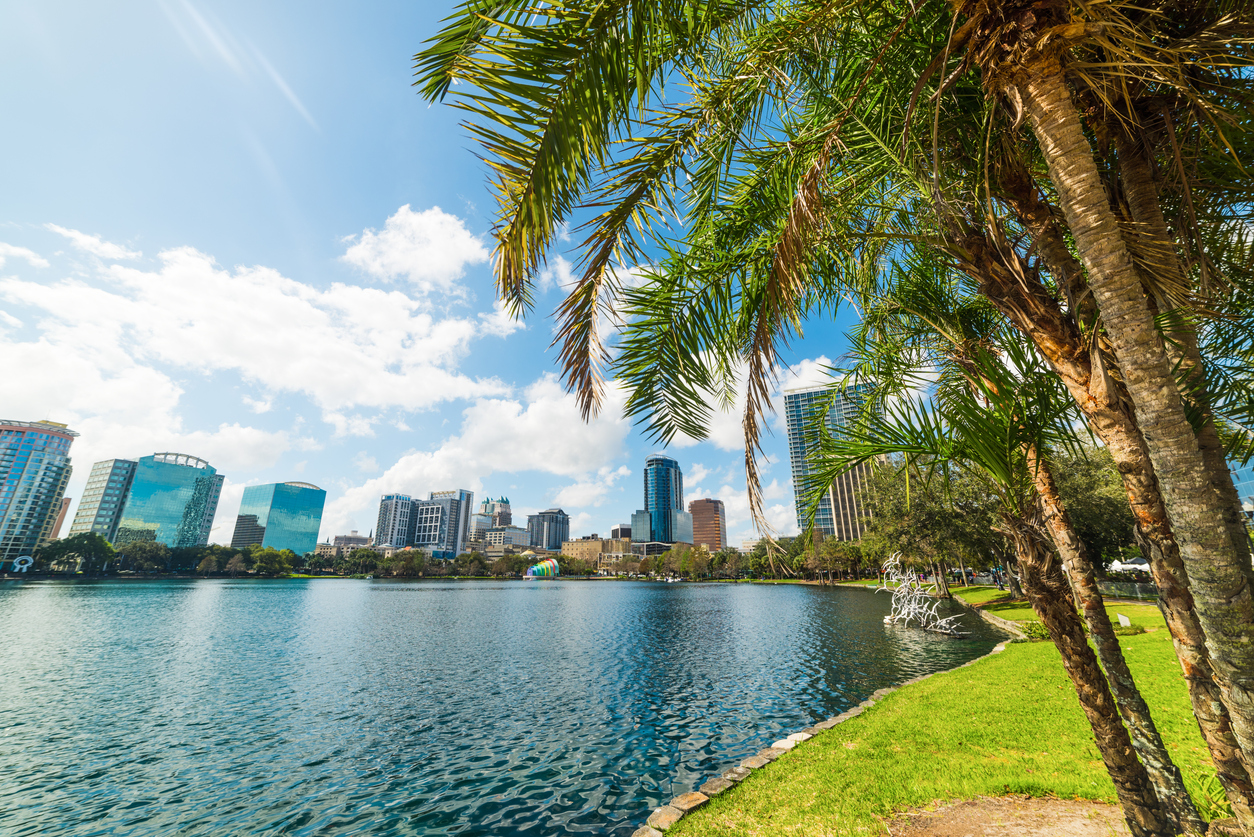 Palm Trees And Skyscrapers In Lake Eola Park In Orlando